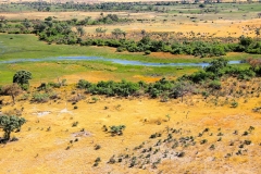 Botswana, Okavango Delta