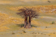 Botswana, Okavango Delta