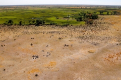 Botswana, Okavango Delta