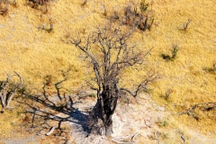 Botswana, Okavango Delta