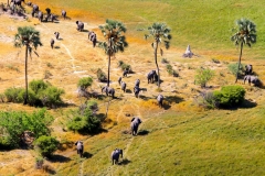 Botswana, Okavango Delta