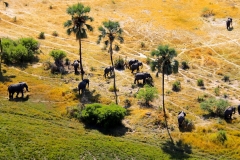 Botswana, Okavango Delta