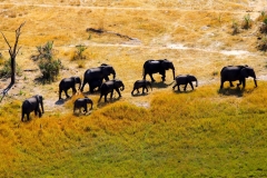 Botswana, Okavango Delta