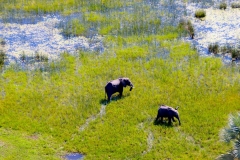Botswana, Okavango Delta