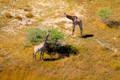 Botswana, Okavango Delta