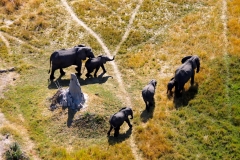 Botswana, Okavango Delta