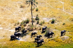Botswana, Okavango Delta