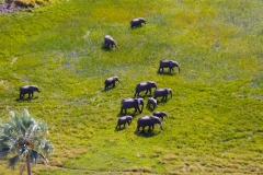 Botswana, Okavango Delta