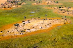 Botswana, Okavango Delta