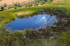 Botswana, Okavango Delta