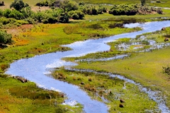 Botswana, Okavango Delta