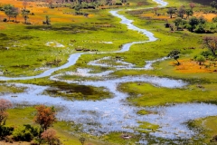 Botswana, Okavango Delta