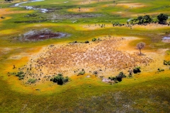 Botswana, Okavango Delta