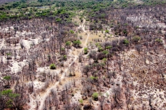 Botswana, Okavango Delta