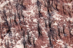 Botswana, Okavango Delta