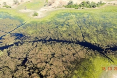 Botswana, Okavango Delta
