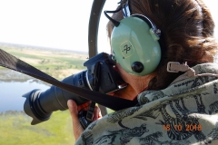Botswana, Helikopter Rundflug über das Okavango Delta