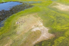Botswana, Okavango Delta