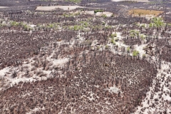 Botswana, Okavango Delta