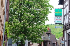 Braubach