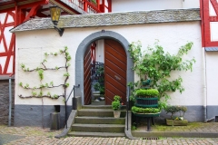 Braubach