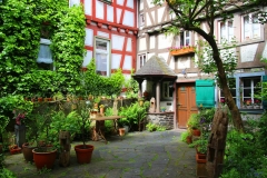 Braubach