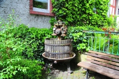 Braubach