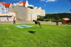 Schloss Rosenburg, Riedenburg, Bayern, Greifvogel-Flugschau