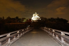 Burg Osaka bei Nacht, Osaka, Japan