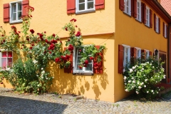 Dinkelsbühl