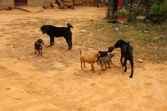 Laos, Hmong und Khmu