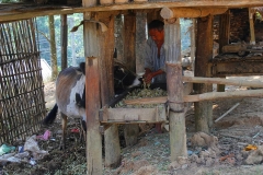 Laos, Hmong und Khmu