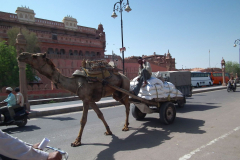 Indien-Bikaner