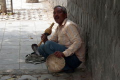 Indien, Alt-Delhi, Kobra-Beschwörer