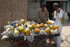 Indien-Unterwegs-nach-Mandawa