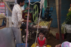 Indien-Unterwegs-nach-Mandawa