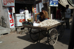Indien-Auf-dem-Weg-nach-Sodakore-Markt