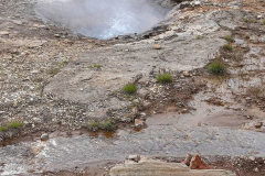 Island, Haukadalurtal, Litli Geysir