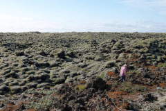 Island, Lavafeld Eldhraun