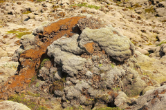 Island, Lavafeld Eldhraun
