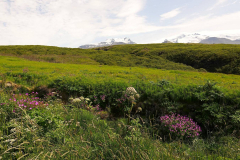 Island, Skaftafell