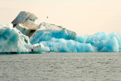 Island, Jökulsarlon