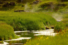 Island, Landmannalaugar, Heiße Quelle