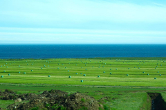 Island, Ostfjorde