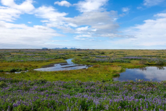 Südisland, Unterwegs nach Thorsmörk