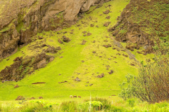 Island, Skogafoss