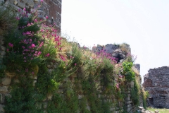 Istanbul, Theodosianische Landmauer
