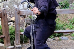 Japan, Himeji, Burg des weißen Reihers