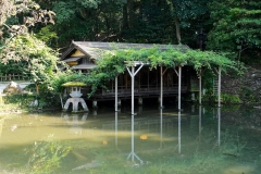 Japan, Kanazawa, Kenroku-en Garten