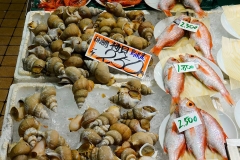 Japan, Kanazawa, Fischmarkt